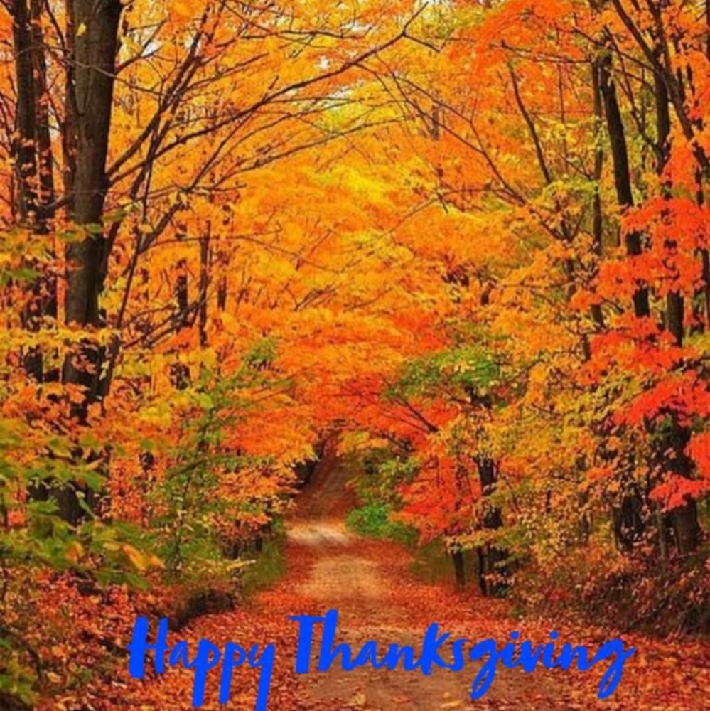 Happy Thanksgiving